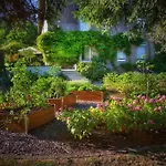 La Maison D Ines And Ugolin & Casa de hóspedes Baccarat