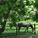 La Maison D Ines And Ugolin &