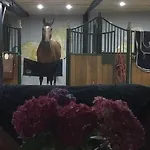 La Maison D Ines And Ugolin &