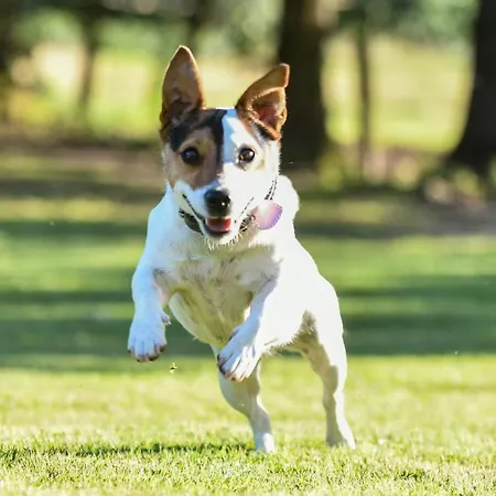 La Maison D Inès&spa - Maison d'hôtes 4*