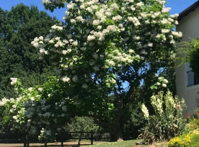 La Maison D Ines And Ugolin & 4*