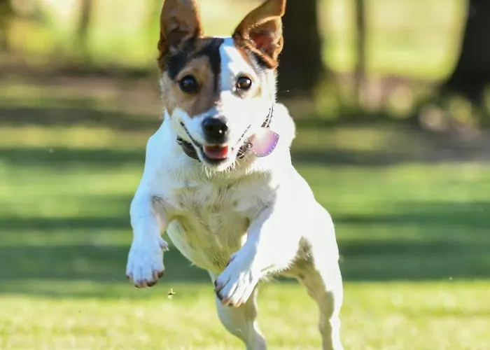 La Maison D Ines And Ugolin & 게스트하우스 4*