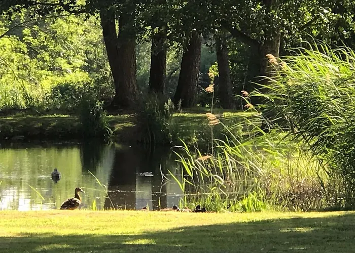 La Maison D Ines And Ugolin & 4*