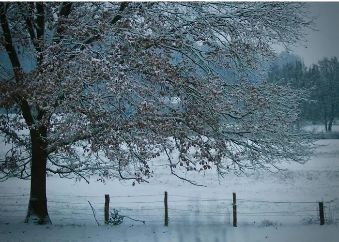 La Maison D Ines And Ugolin & 4*