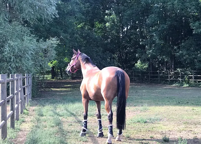 La Maison D Ines And Ugolin & 게스트하우스 4*