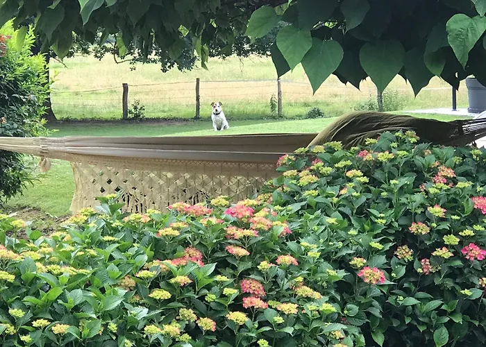 게스트하우스 La Maison D Ines And Ugolin & 바카라