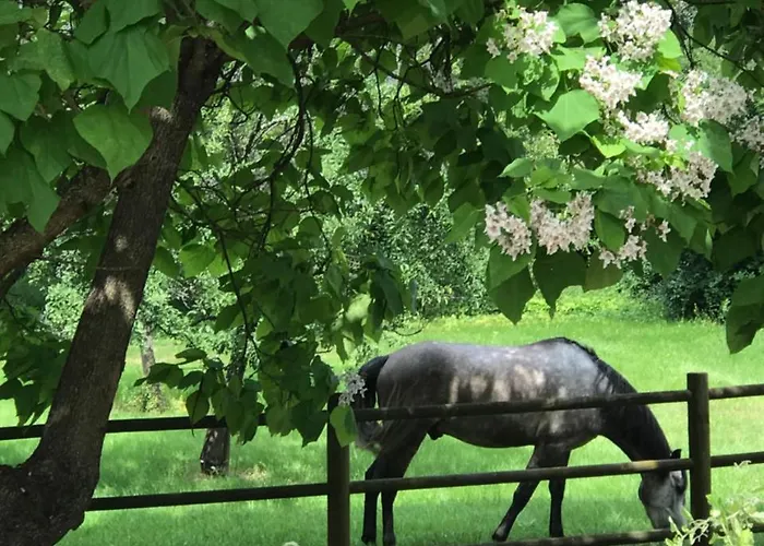 La Maison D Ines And Ugolin &