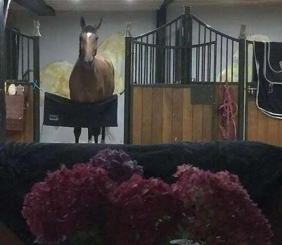 La Maison D Ines And Ugolin &